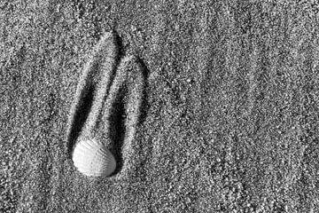 Lapin de sable sur Hans Grobben