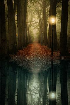 Those Mystical Autumn Walks van Marja van den Hurk
