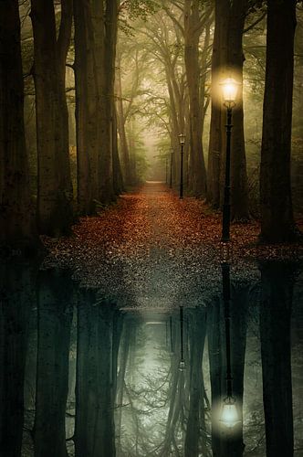 Those Mystical Autumn Walks