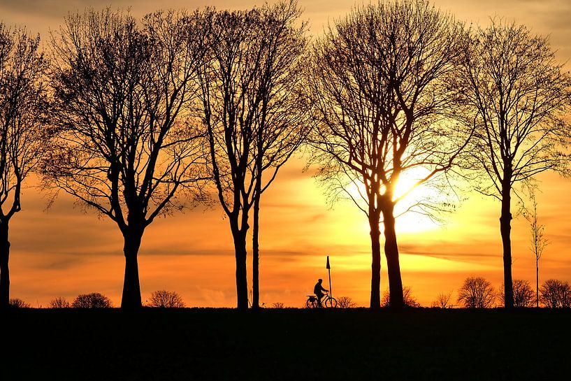 Fietser van Edgar Schermaul