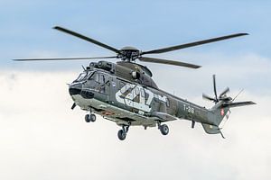Schweizer Aerospatiale AS332M1 Super Puma (T-316).