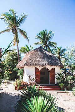 Cabin among the palm trees in Morondava on Madagascar