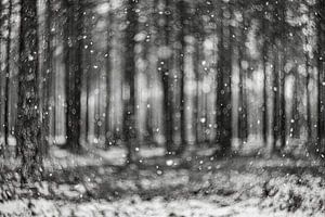 Neige tourbillonnante, abstrait