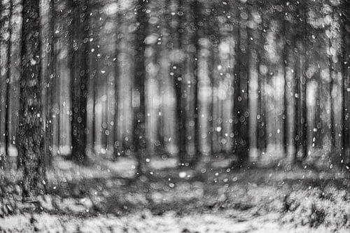 Dwarrelende sneeuw, abstract