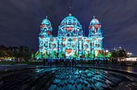 Berlijnse Dom in een bijzonder licht van Frank Herrmann thumbnail