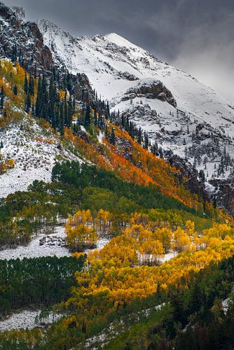Herfstfoto van San Juan Mountains - Colorado Landscape Print van Daniel Forster