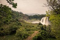 Blue Nile Falls in Ethiopië van Arno Maetens thumbnail
