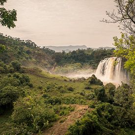 Blue Nile Falls in Ethiopië