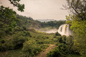 Blue Nile Falls in Ethiopië van Arno Maetens