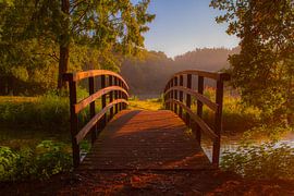 Bruggetje in het bos by Celine