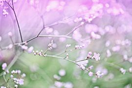 Blüte II von Jessica Berendsen