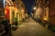 Die Trompetstraat in Delft mit ihrem schönen alten charakteristischen Haus von Bas Meelker Miniaturansicht