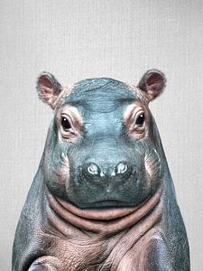 Baby Hippo