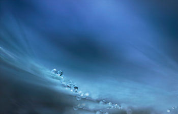 blaue Welt