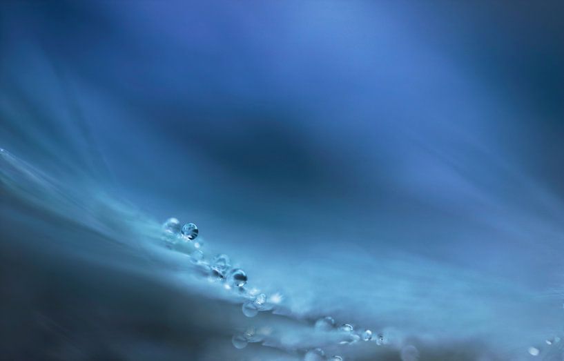 Waterdruppeltje in het blauw van Remco loeffen