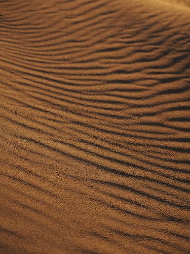 Spel van schaduw en warm zonlicht op het strand