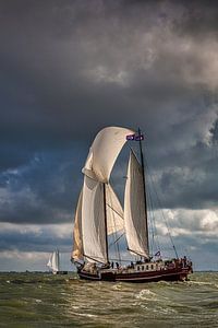 Schiff der Braunen Flotte bei Enkhuizen