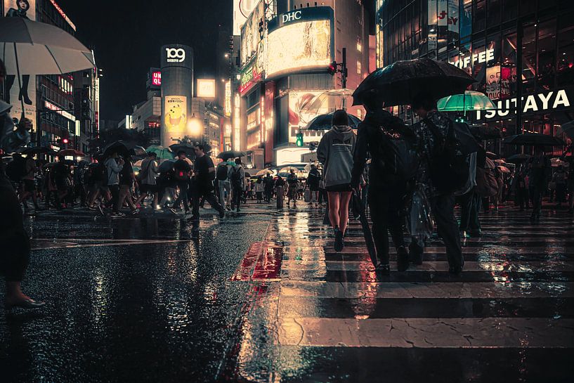 Shibuya Crossing (II) (2023) by Ties van Brussel