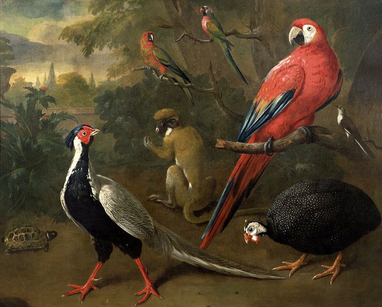 Charles Collins,Perroquets faisans, aras, singes et tortues par finemasterpiece