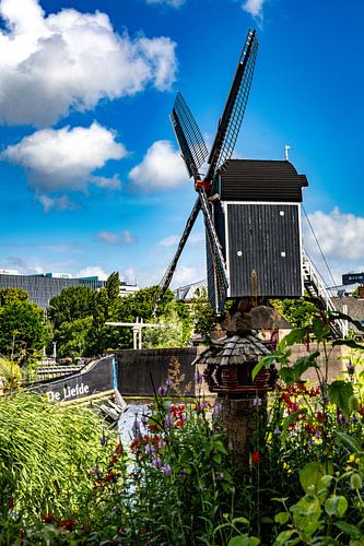 Molen de Put te Leiden