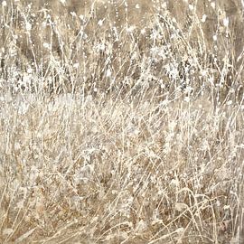 wild grasses