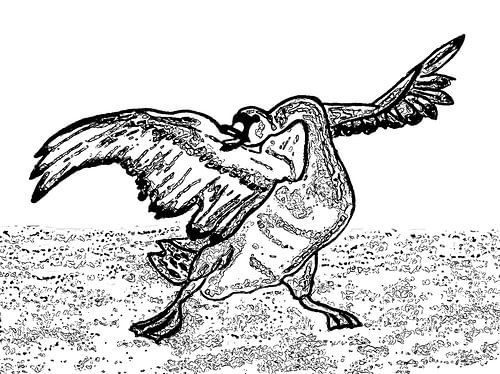 De bedreigde zwaan ( tekening )