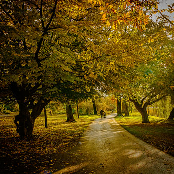 se promener dans le parc