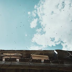 Bijen vliegen uit tegen de hemel aan in Turkije van Milene van Arendonk