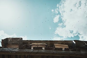 Bijen vliegen uit tegen de hemel aan in Turkije van Milene van Arendonk