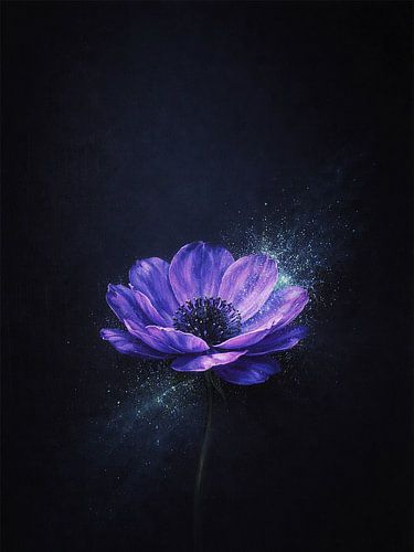 Violetter Blütenglanz