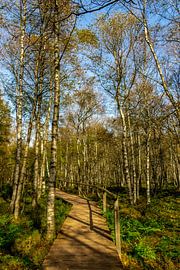 Unterwegs im Nationalpark Rhön von Oliver Hlavaty