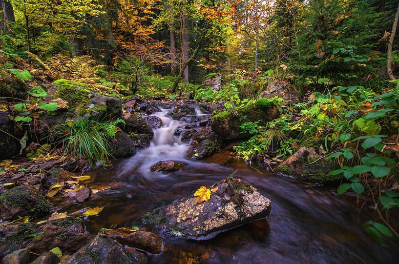 Wasser im Harz von Steffen Gierok