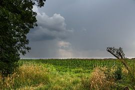Gewitterwolken über Ostfriesland by Rolf Pötsch