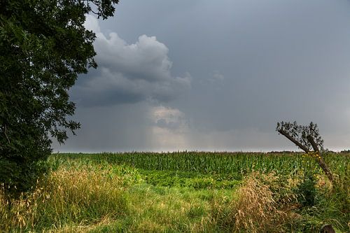 Gewitterwolken über Ostfriesland