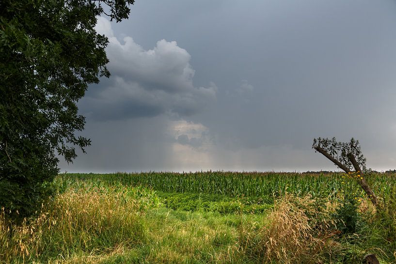 Gewitterwolken über Ostfriesland von Rolf Pötsch