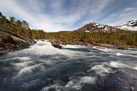 Wild water in Norway by Ralf Lehmann thumbnail