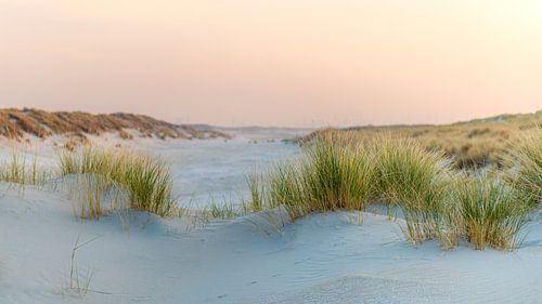 Duinen in  pastelkleuren