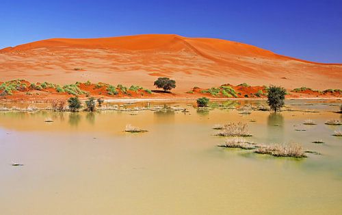 Wasser in der Namib-Wüste, Regenzeit, Namibia