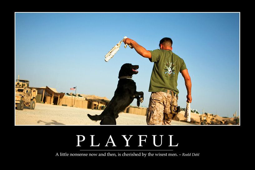 STK107163M-Playful: Inspirerende Quote en Motiverende Poster van Stocktrek Images