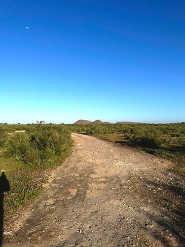 Der Weg in die Wildnis