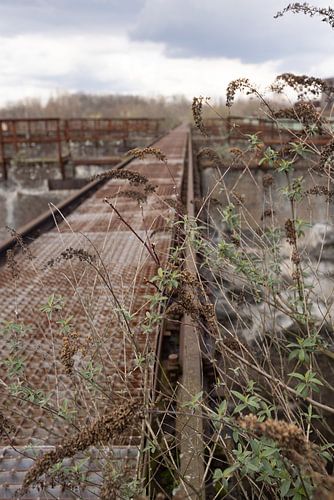 the traces of the past