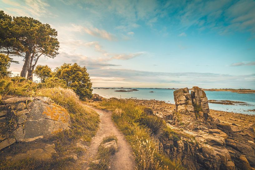 Plougrescant, Bretagne [I] van rosstek ®