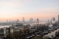 Iconisch Rotterdam van Nathalie Roost thumbnail