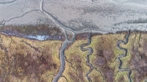 Mudflats and salt marshes