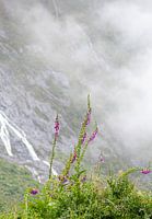 Thimble in the mountains