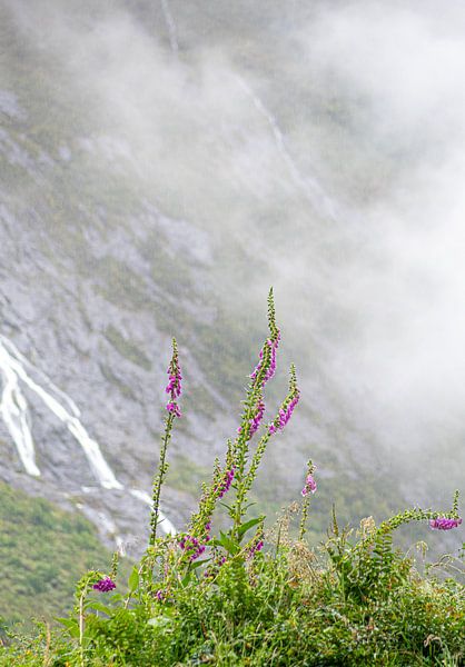 Thimble in the mountains by Xenia Blair