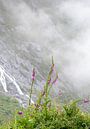 Thimble in the mountains by Xenia Blair thumbnail