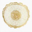 Moderne abstracte kunst. Botanische abstractie in goud op wit doek van Dina Dankers thumbnail