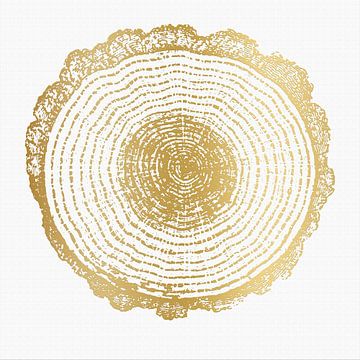 Moderne abstrakte Kunst. Botanische Abstraktion in Gold auf weißer Leinwand von Dina Dankers