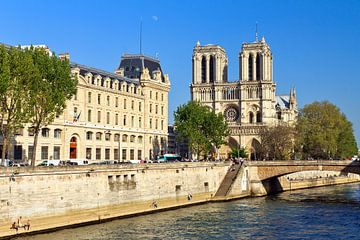 Notre-Dame aan de Seine van Dennis van de Water